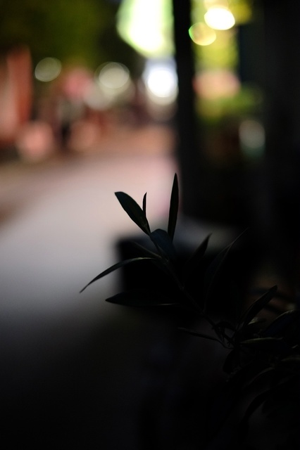 DSCF1636_1280x853_補正済.jpg