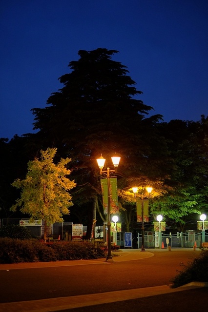 DSCF1651_1280x853_補正済.jpg