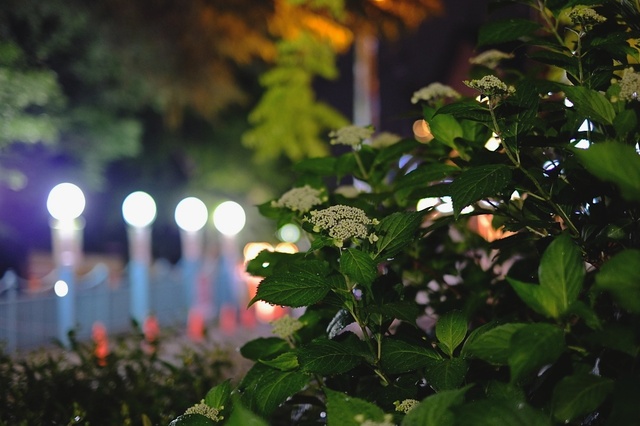 DSCF1859_1280x853_補正済.jpg