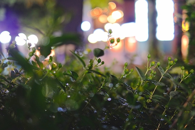 DSCF1862_1280x853_補正済.jpg