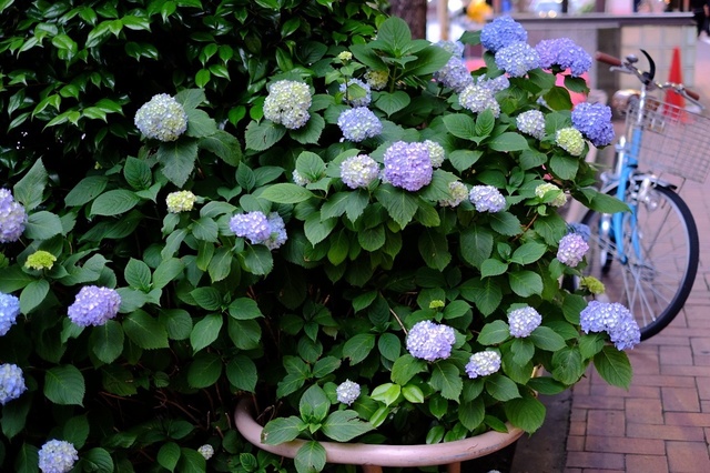 DSCF1928_1280x853_補正済.jpg
