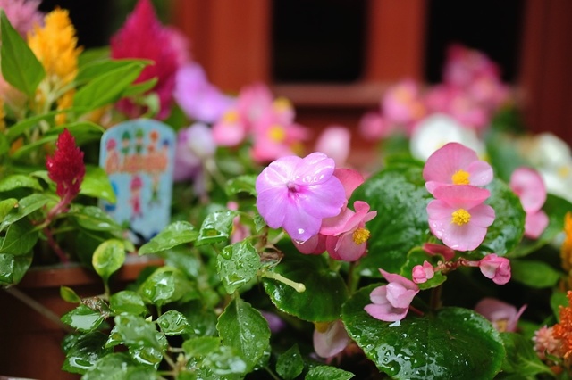 DSCF2350_1280x853_補正済.jpg