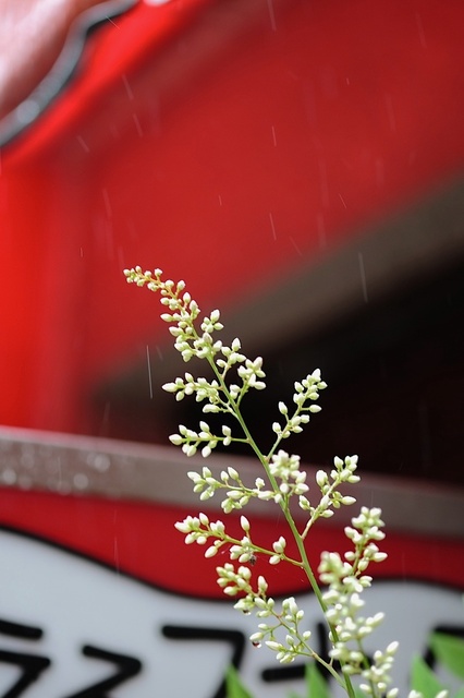 DSCF2353_1280x853_補正済.jpg