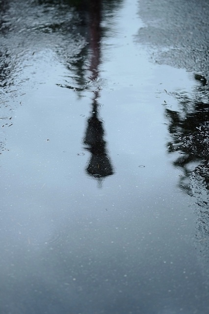 DSCF2426_1280x853_補正済.jpg