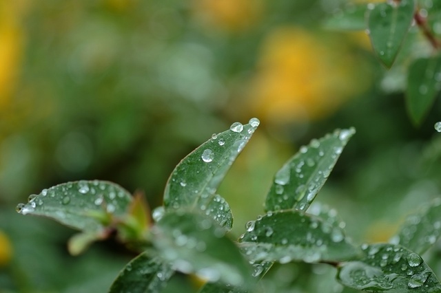 DSCF2440_1280x853_補正済.jpg