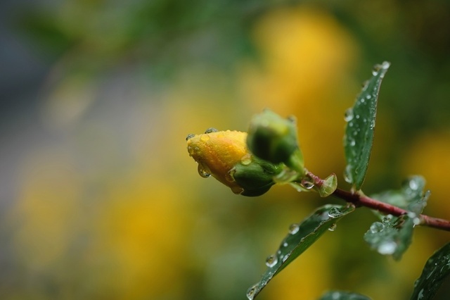 DSCF2446_1280x853_補正済.jpg