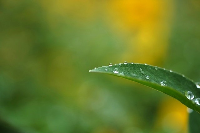 DSCF2462_1280x853_補正済.jpg