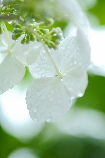 DSCF2486_1280x853_補正済.jpg