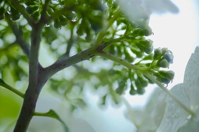 DSCF2488_1280x853_補正済.jpg
