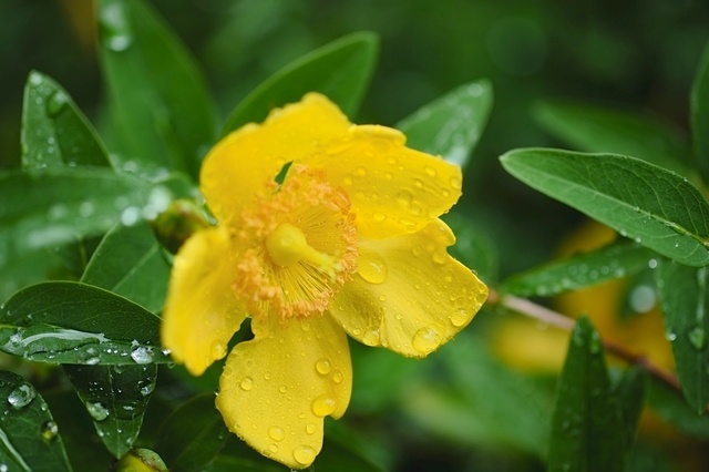 DSCF2498_1280x853_補正済.jpg