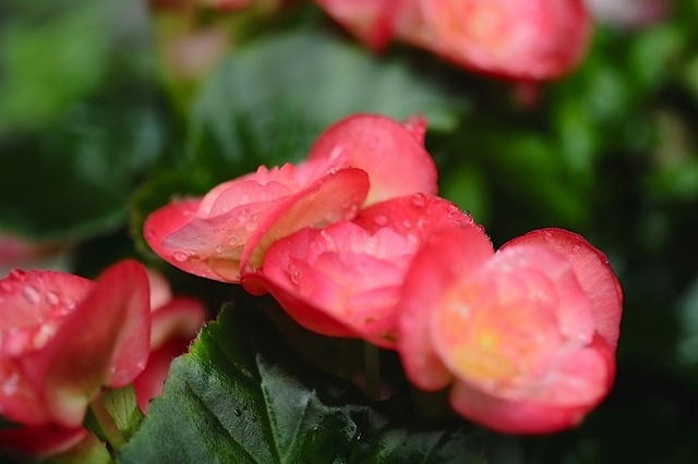 DSCF2512_1280x853_補正済.jpg