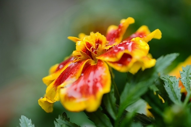 DSCF2518_1280x853_補正済.jpg