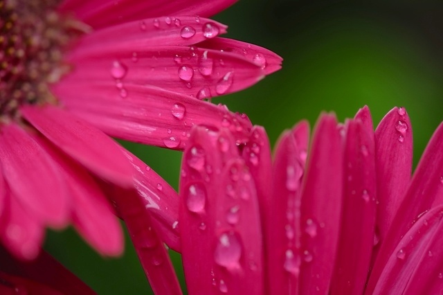 DSCF2522_1280x853_補正済.jpg
