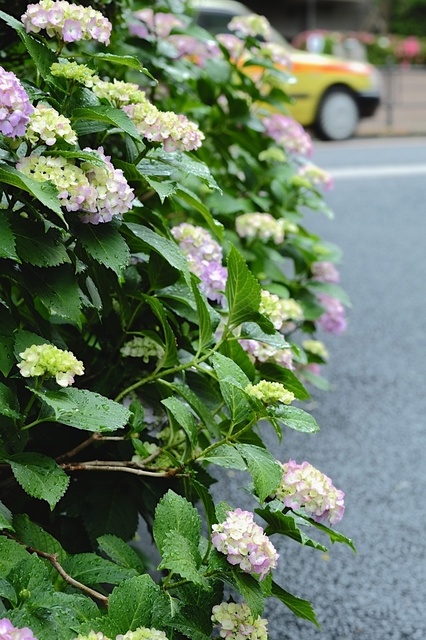 DSCF2532_1280x853_補正済.jpg