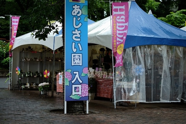 DSCF2546_1280x853_補正済.jpg