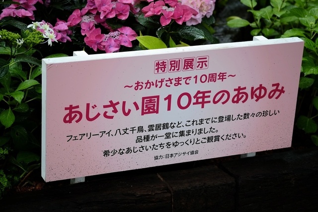 DSCF2550_1280x853_補正済.jpg