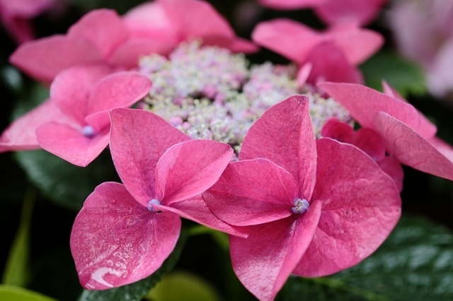 DSCF2551_1280x853_補正済.jpg