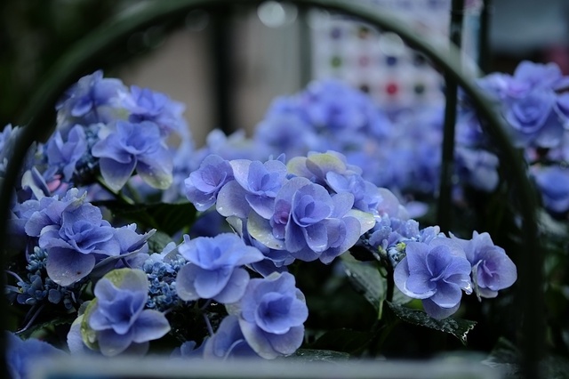 DSCF2563_1280x853_補正済.jpg