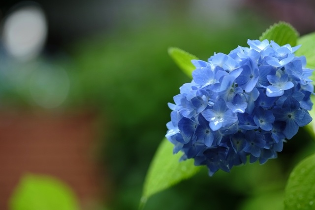 DSCF2566_1280x853_補正済.jpg