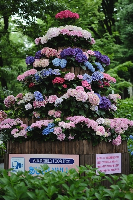 DSCF2589_1280x853_補正済.jpg