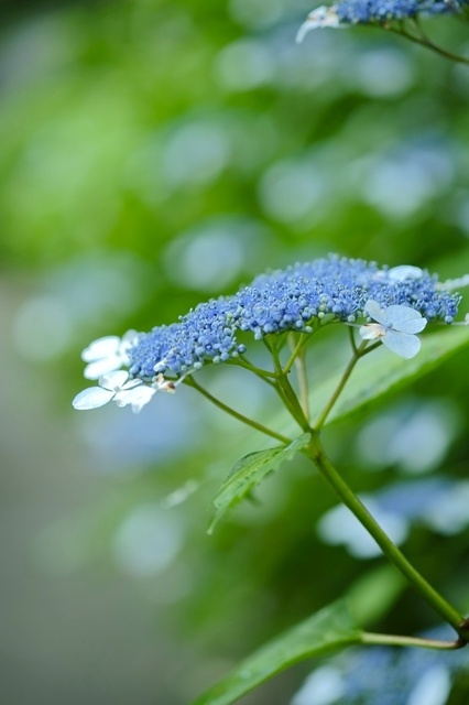 DSCF2609_1280x853_補正済.jpg