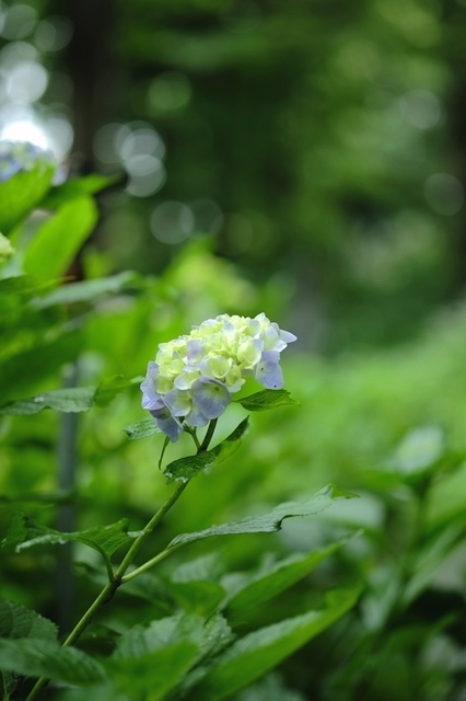 DSCF2611_1280x853_補正済.jpg