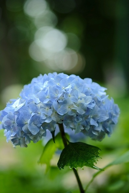 DSCF2612_1280x853_補正済.jpg