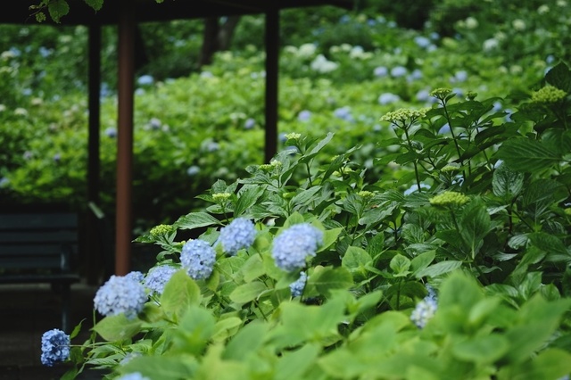 DSCF2614_1280x853_補正済.jpg