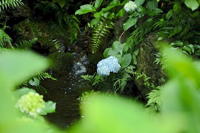 DSCF2621_1280x853_補正済.jpg