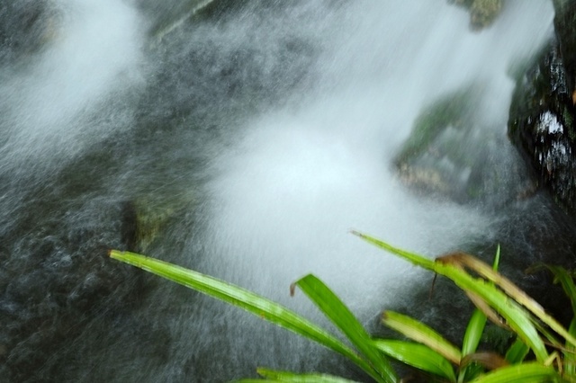 DSCF2633_1280x853_補正済.jpg