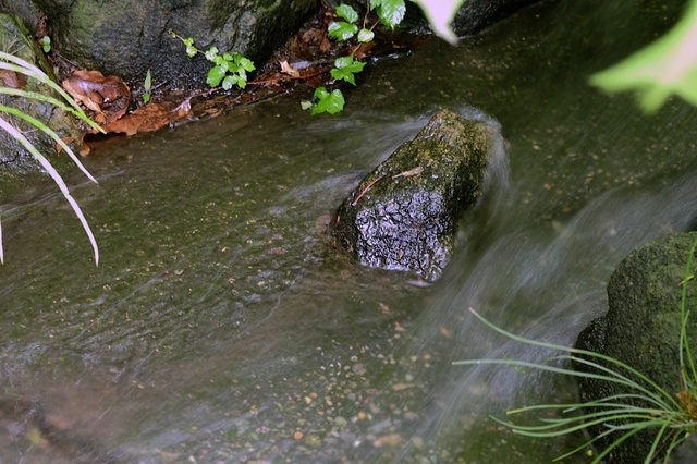 DSCF2647_1280x853_補正済.jpg