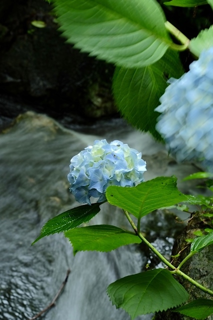 DSCF2668_1280x853_補正済.jpg