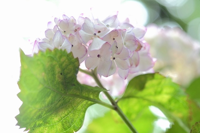 DSCF2713_1280x853_補正済.jpg