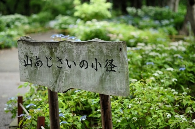 DSCF2716_1280x853_補正済.jpg