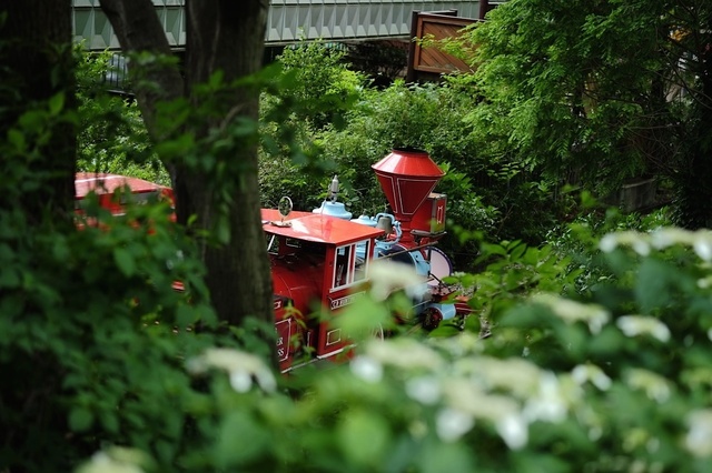 DSCF2723_1280x853_補正済.jpg