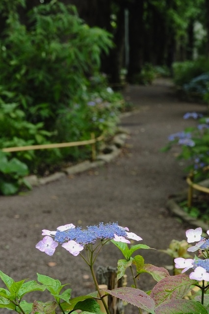 DSCF2729_1280x853_補正済.jpg