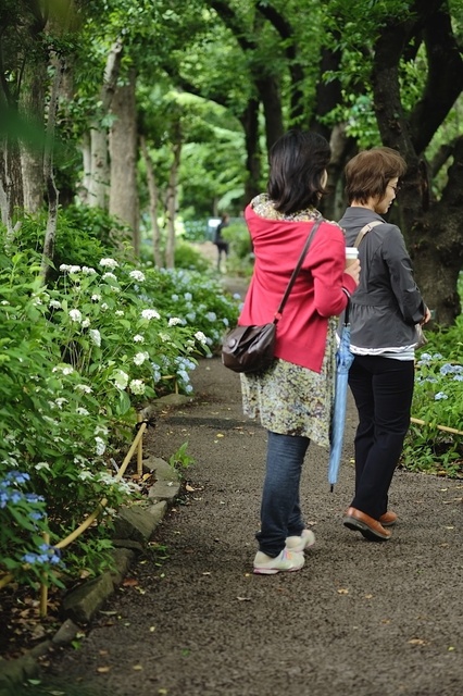 DSCF2737_1280x853_補正済.jpg