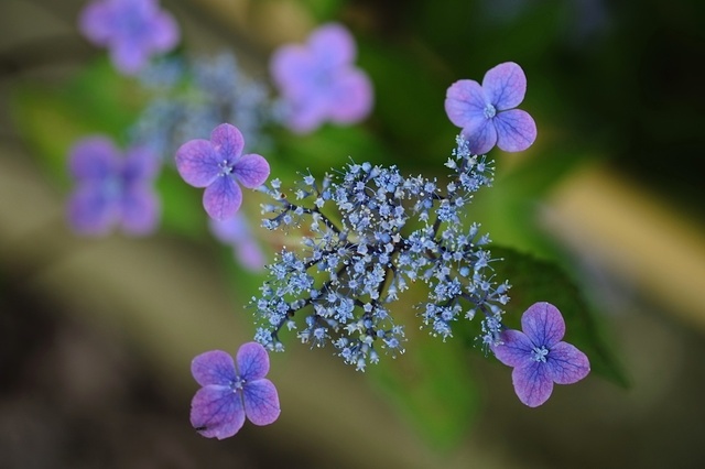 DSCF2738_1280x853_補正済.jpg