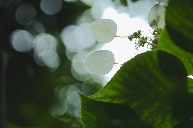 DSCF2754_1280x853_補正済.jpg