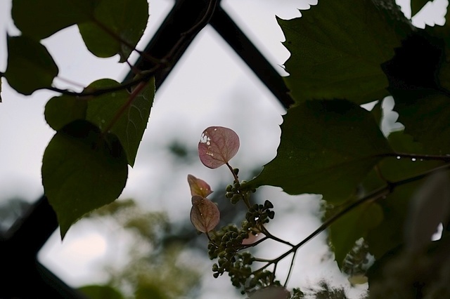 DSCF2755_1280x853_補正済.jpg