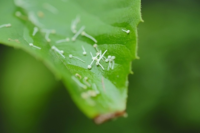 DSCF2760_1280x853_補正済.jpg