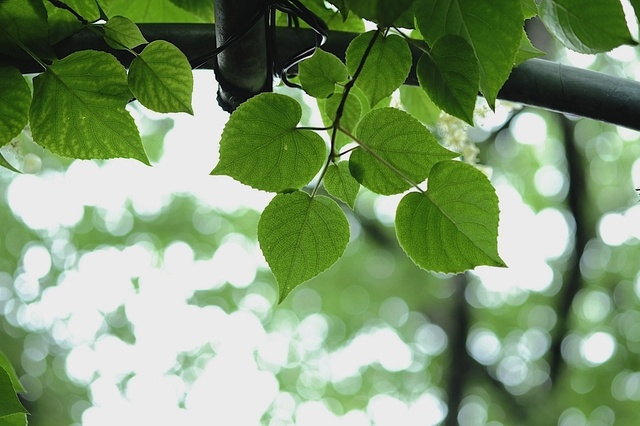 DSCF2769_1280x853_補正済.jpg