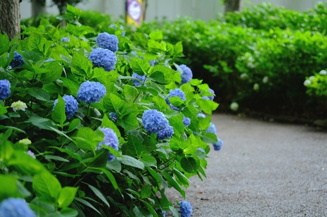 DSCF2792_1280x853_補正済.jpg