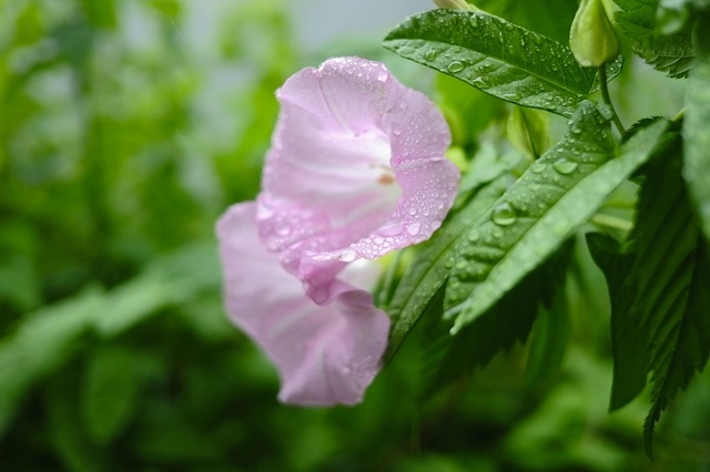 DSCF2916_1280x853_補正済.jpg