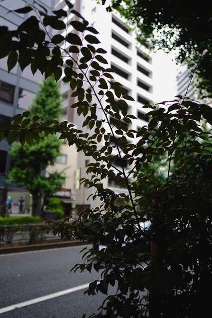 DSCF2935_1280x853_補正済.jpg