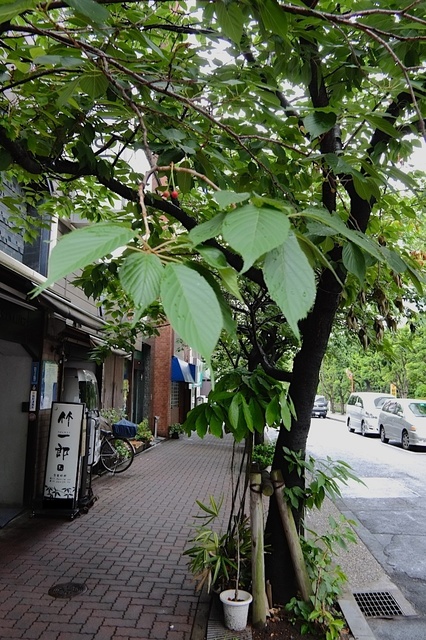 DSCF2948_1280x853_補正済.jpg