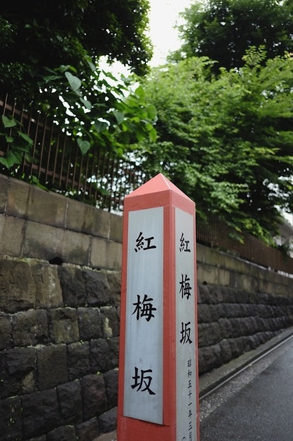DSCF2964_1280x853_補正済.jpg