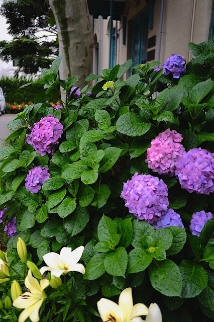 DSCF2970_1280x853_補正済.jpg