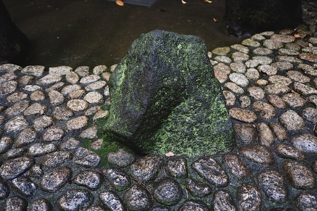 DSCF2983_1280x853_補正済.jpg