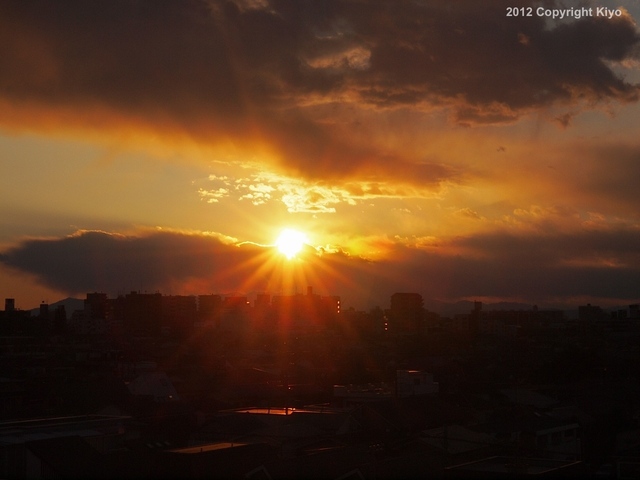 E1042191_1280x960_補正済.jpg